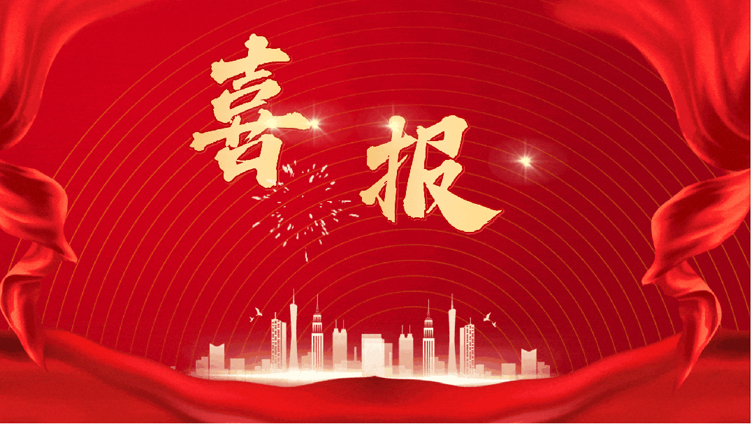 喜报丨和记官网医疗荣登2025重庆民营企业科技创新指数100强,以创新献礼2026新征程!